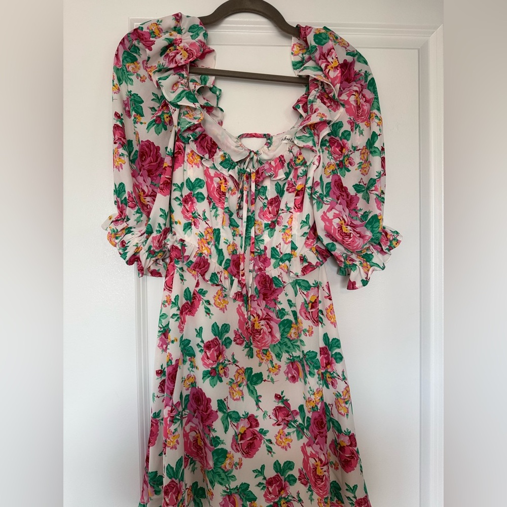 For Love And Lemons Pink and Green Floral Dress